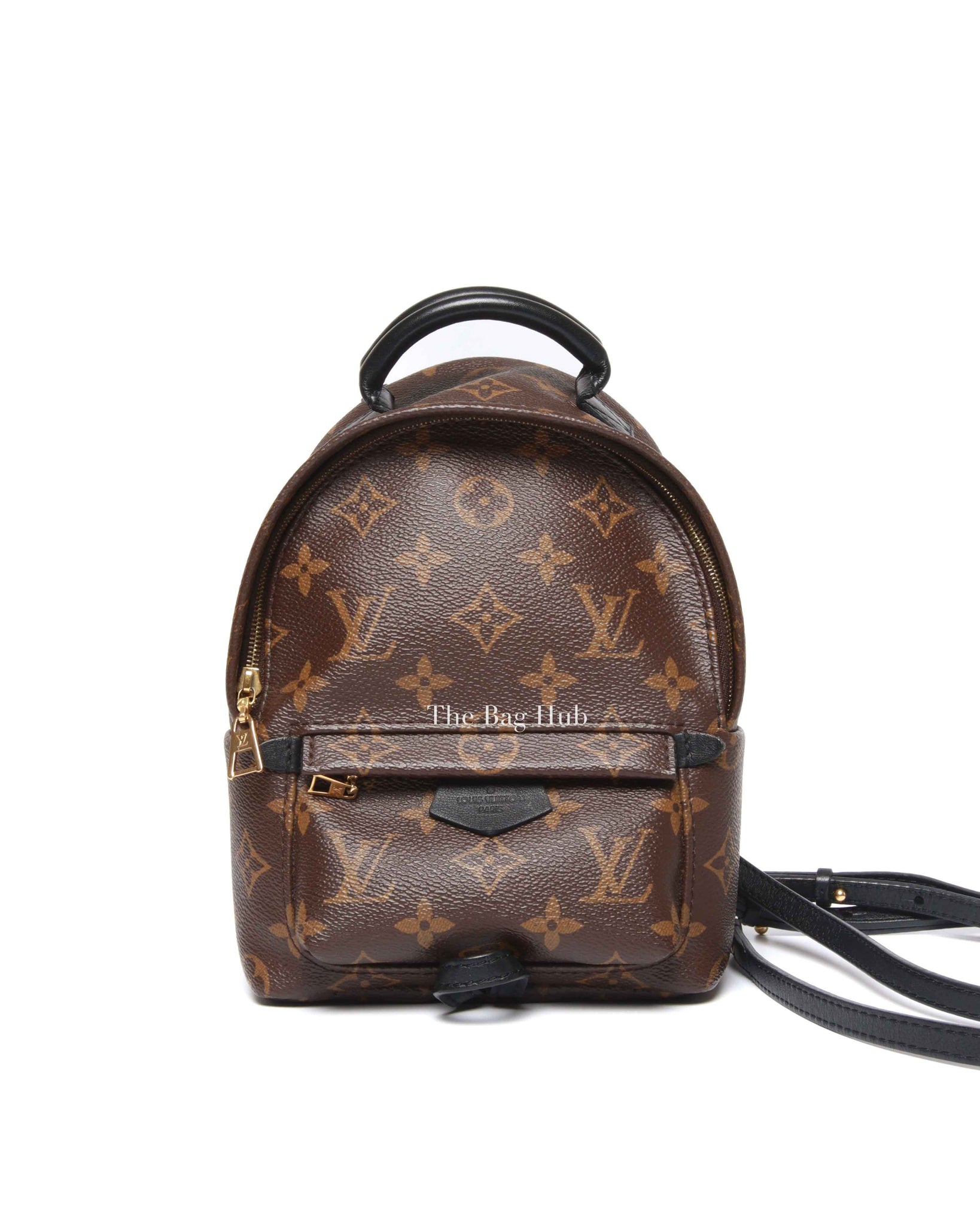 Louis Vuitton Monogram Canvas Mini Palm Springs Backpack