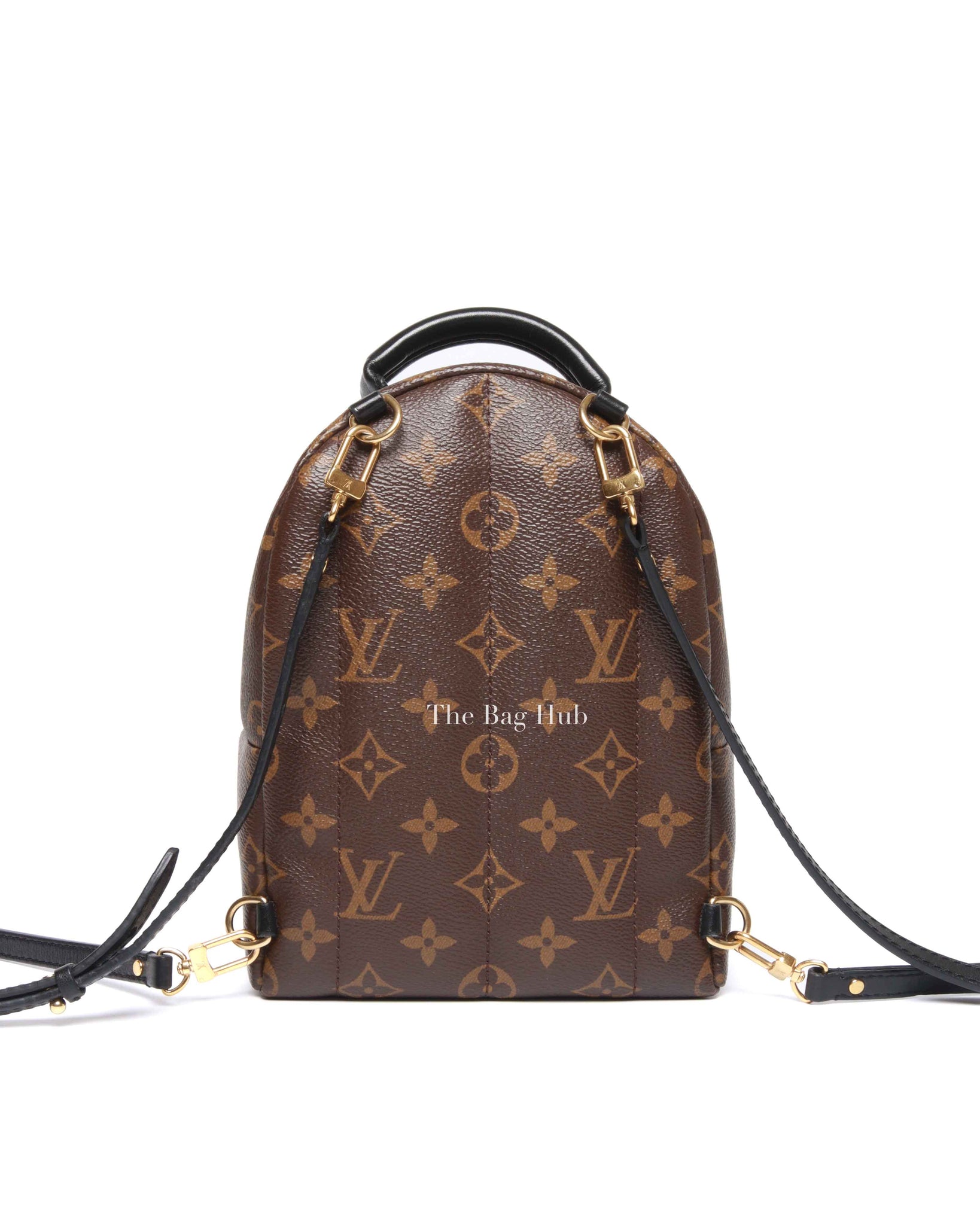 Louis Vuitton Monogram Canvas Mini Palm Springs Backpack