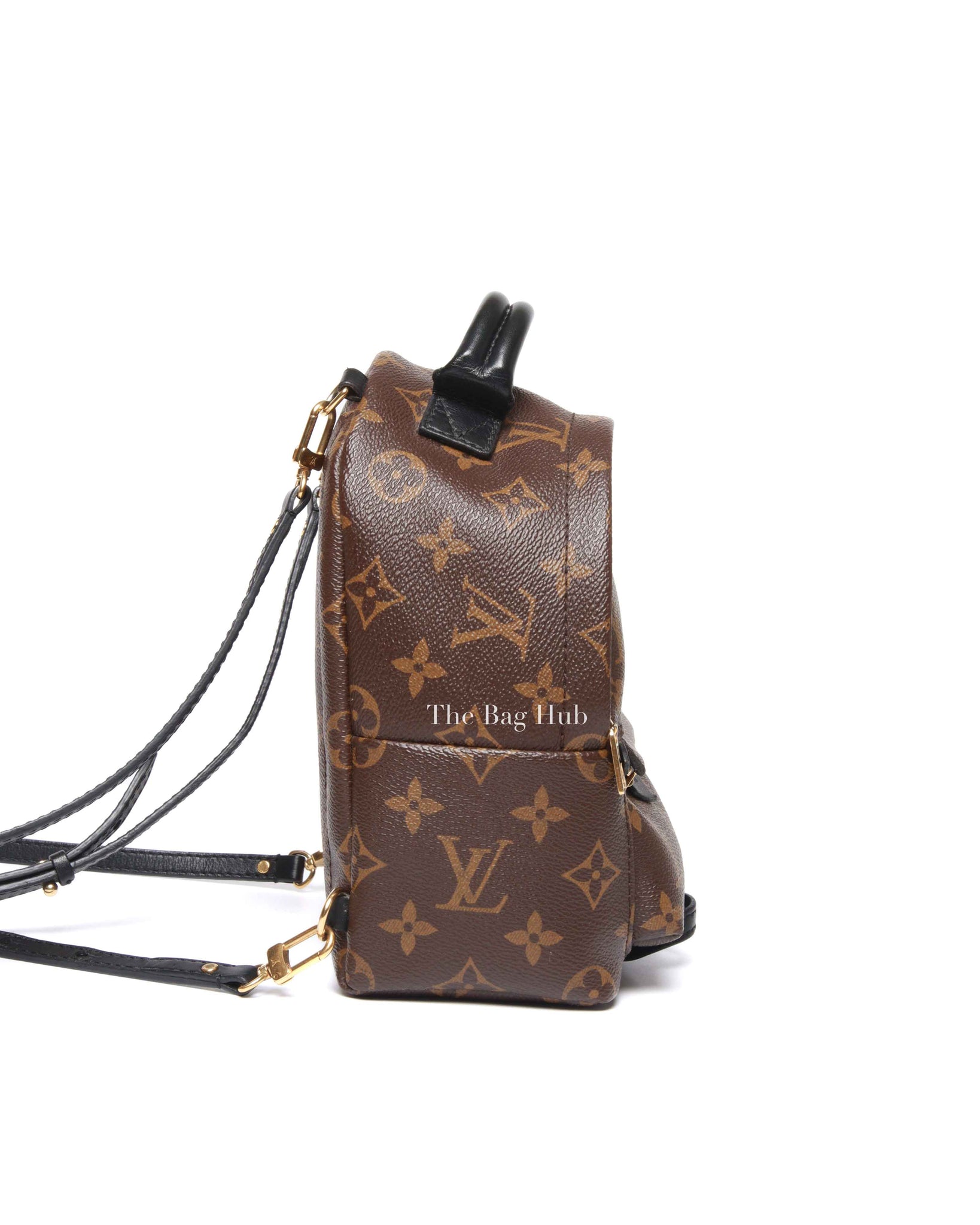 Louis Vuitton Monogram Canvas Mini Palm Springs Backpack