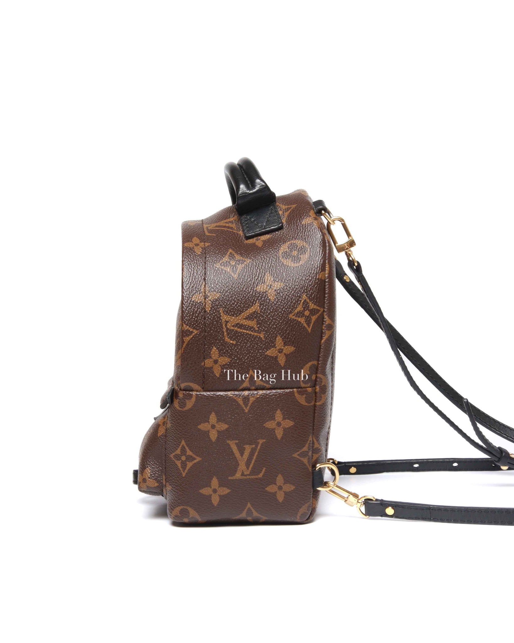 Louis Vuitton Monogram Canvas Mini Palm Springs Backpack
