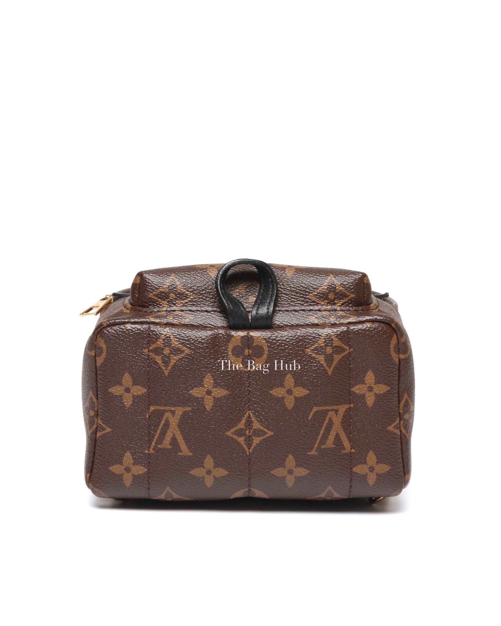 Louis Vuitton Monogram Canvas Mini Palm Springs Backpack