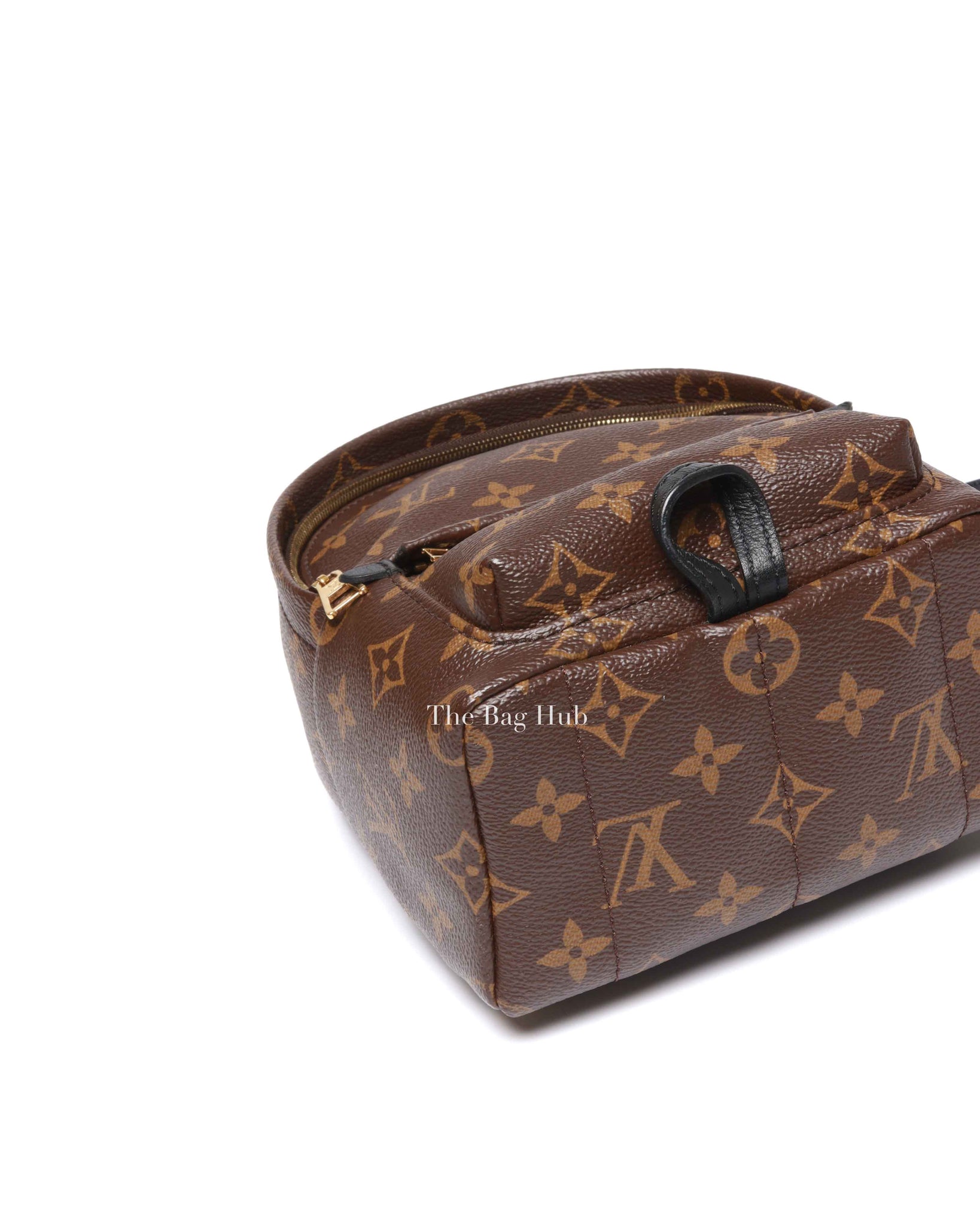 Louis Vuitton Monogram Canvas Mini Palm Springs Backpack