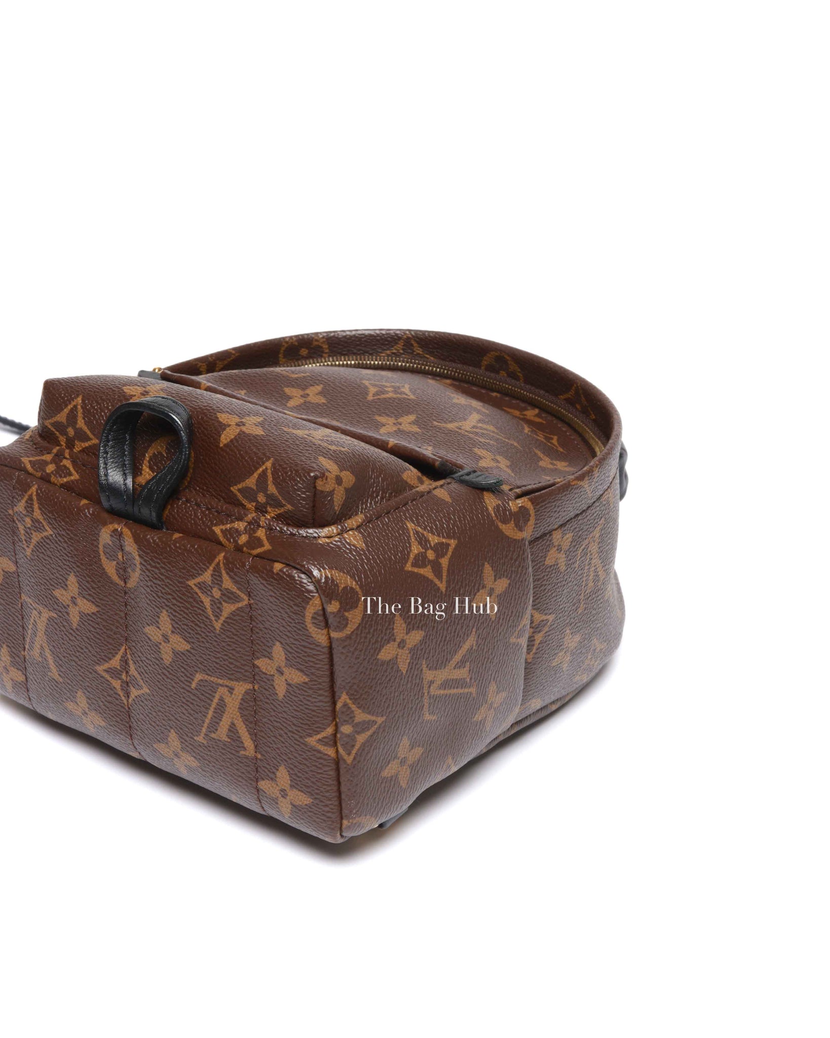 Louis Vuitton Monogram Canvas Mini Palm Springs Backpack