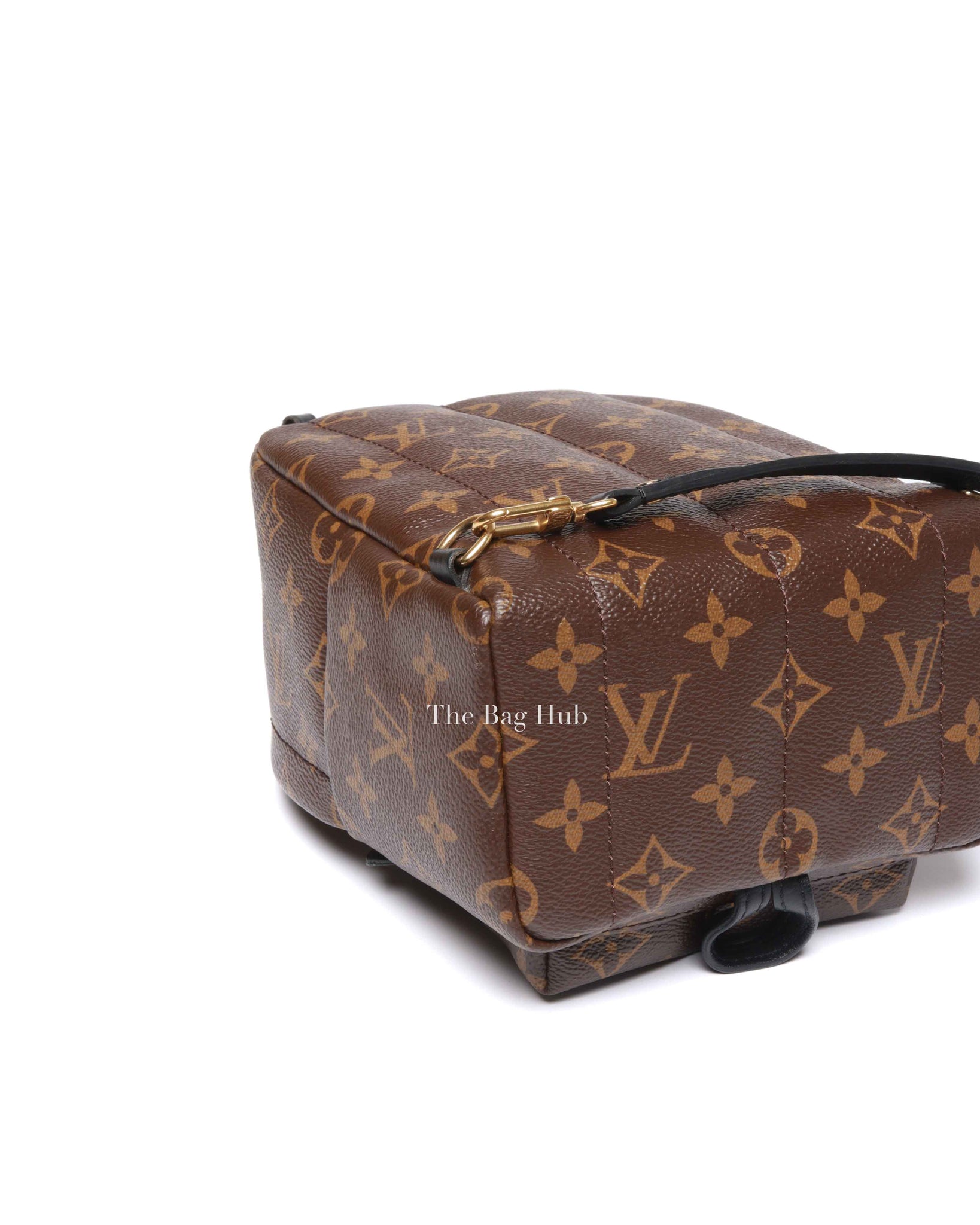 Louis Vuitton Monogram Canvas Mini Palm Springs Backpack