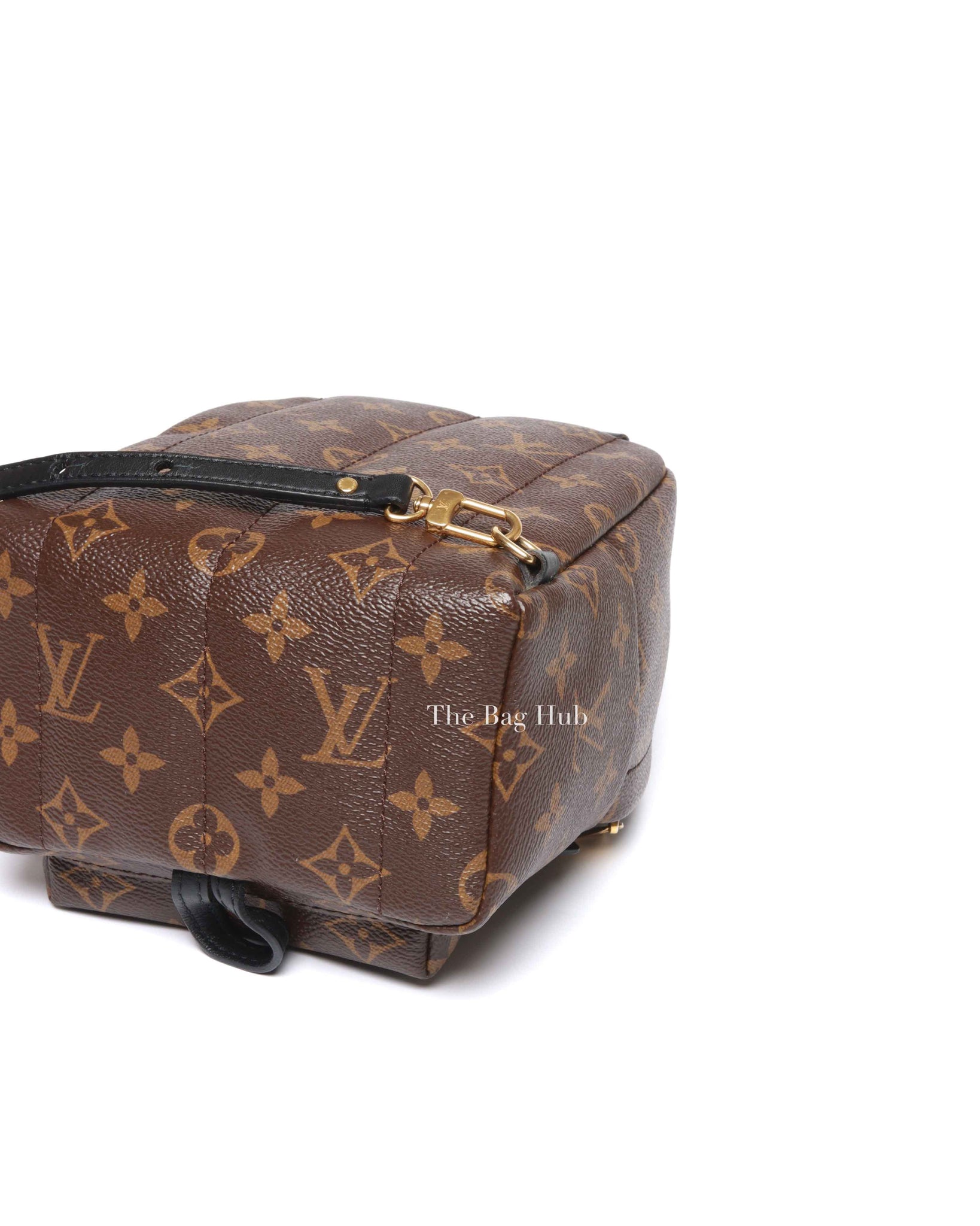 Louis Vuitton Monogram Canvas Mini Palm Springs Backpack