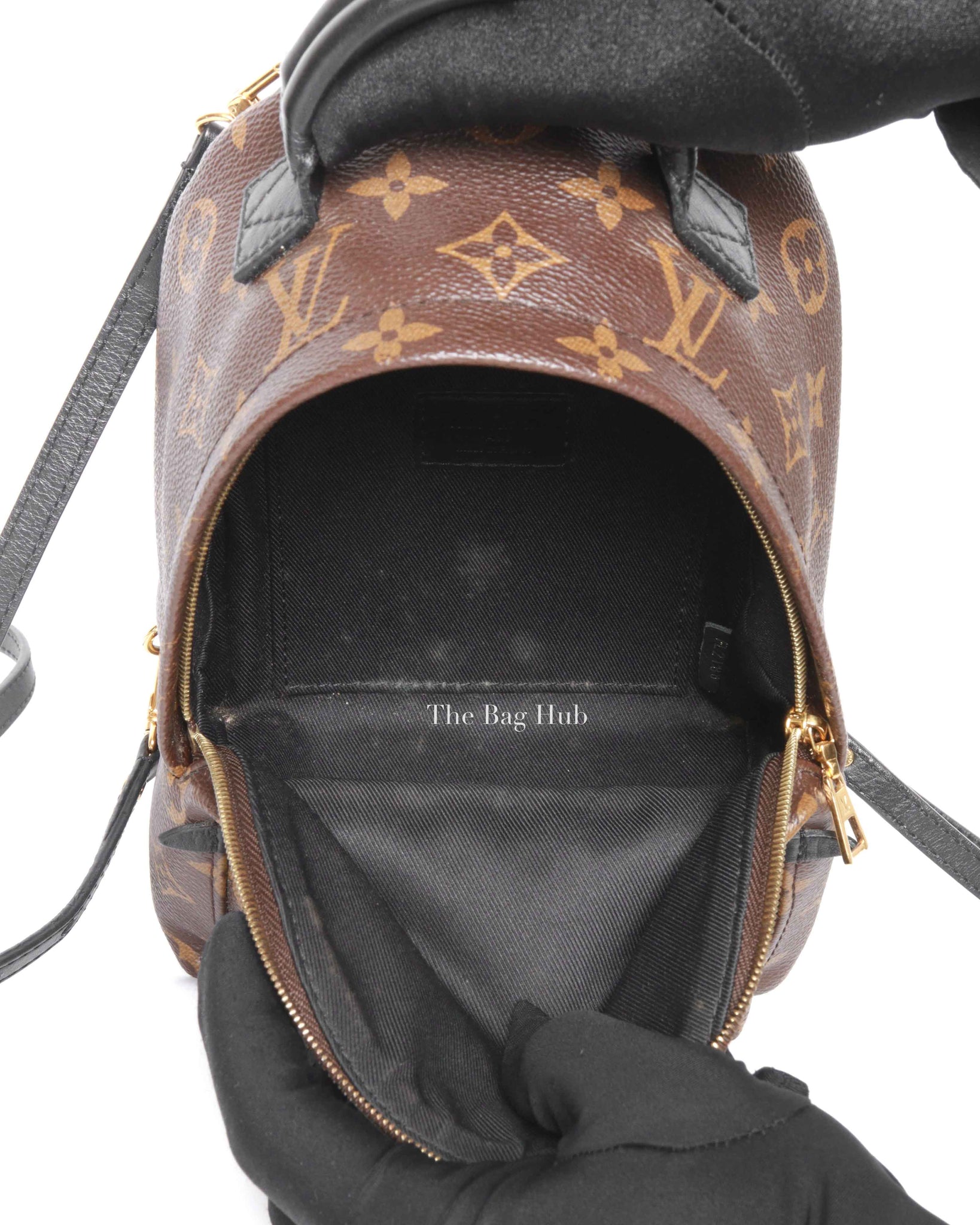 Louis Vuitton Monogram Canvas Mini Palm Springs Backpack