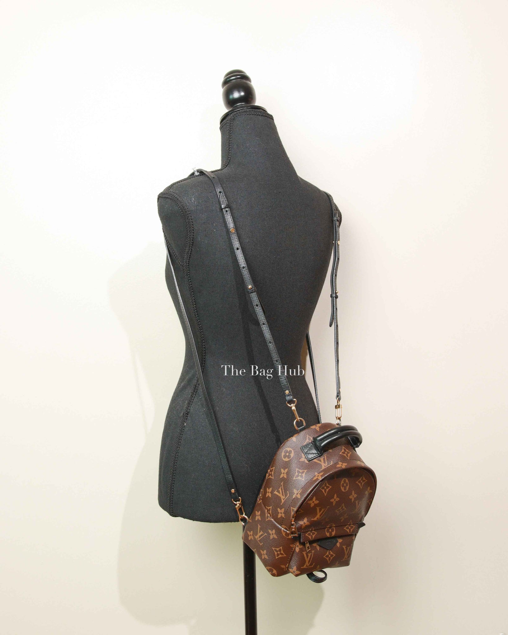 Louis Vuitton Monogram Canvas Mini Palm Springs Backpack