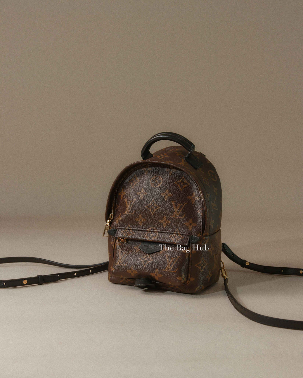 Louis Vuitton Monogram Canvas Mini Palm Springs Backpack