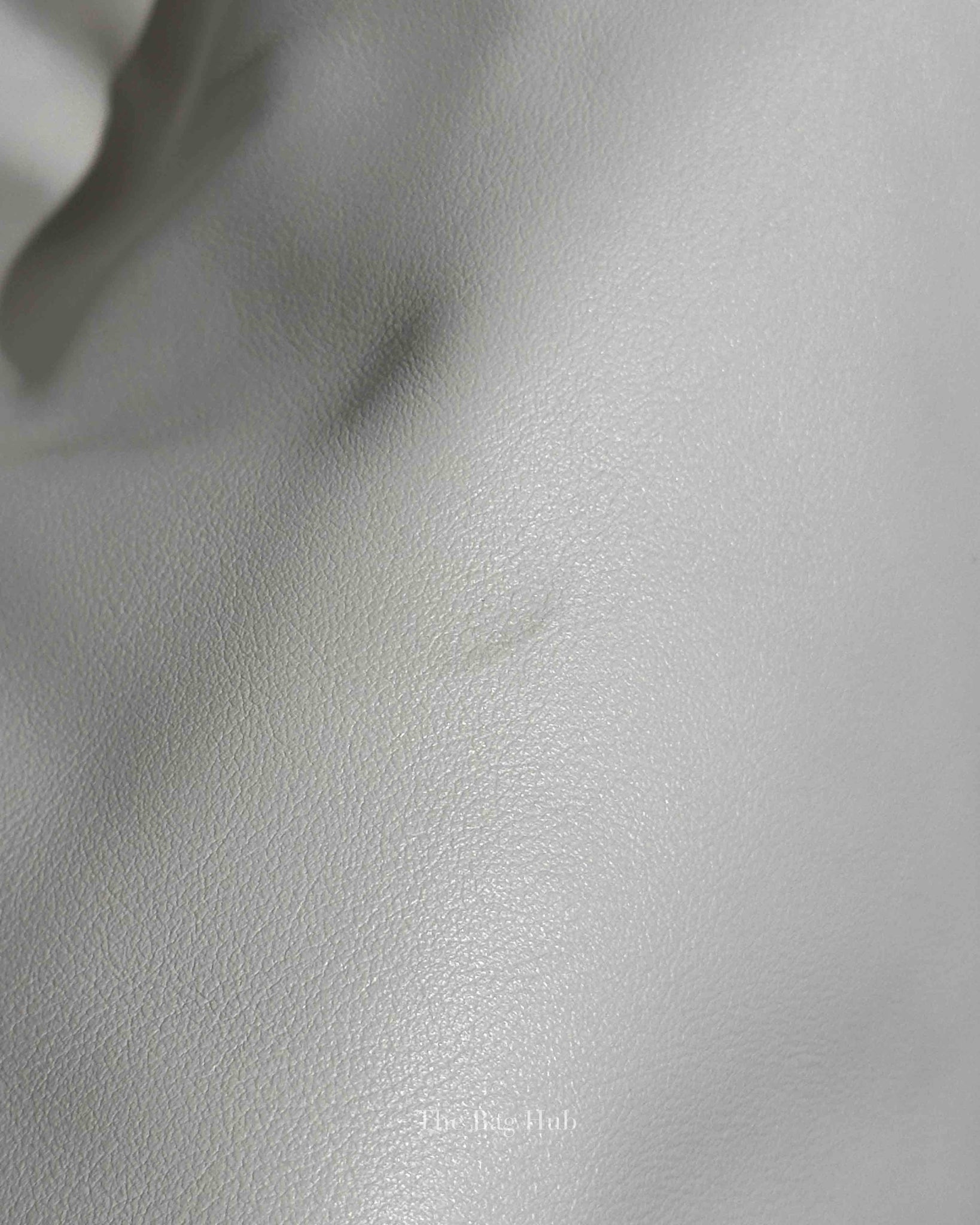 Bottega Veneta White Calfskin Leather The Pouch Shoulder Bag