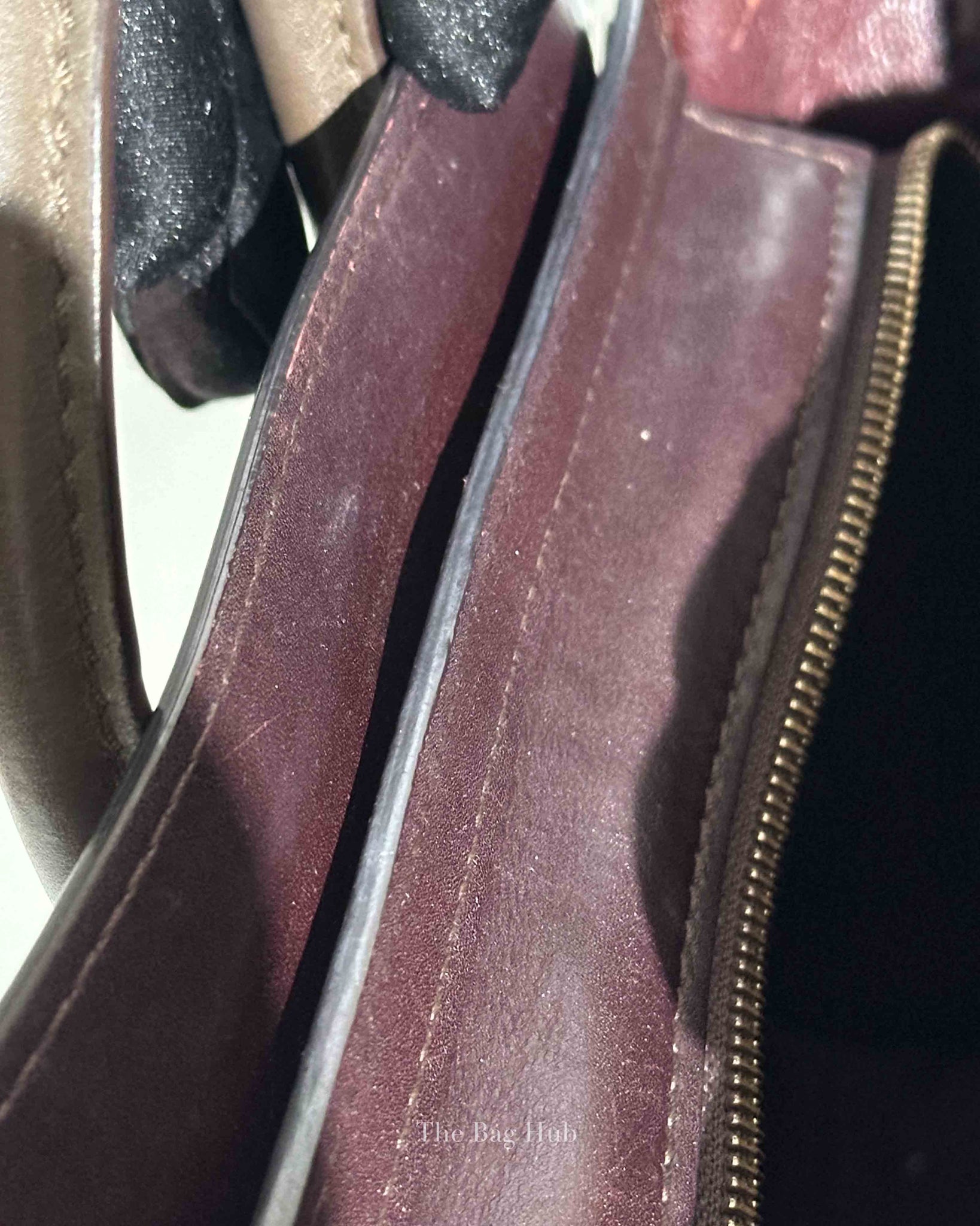 Celine Tricolor Leather Nano Luggage Tote Bag