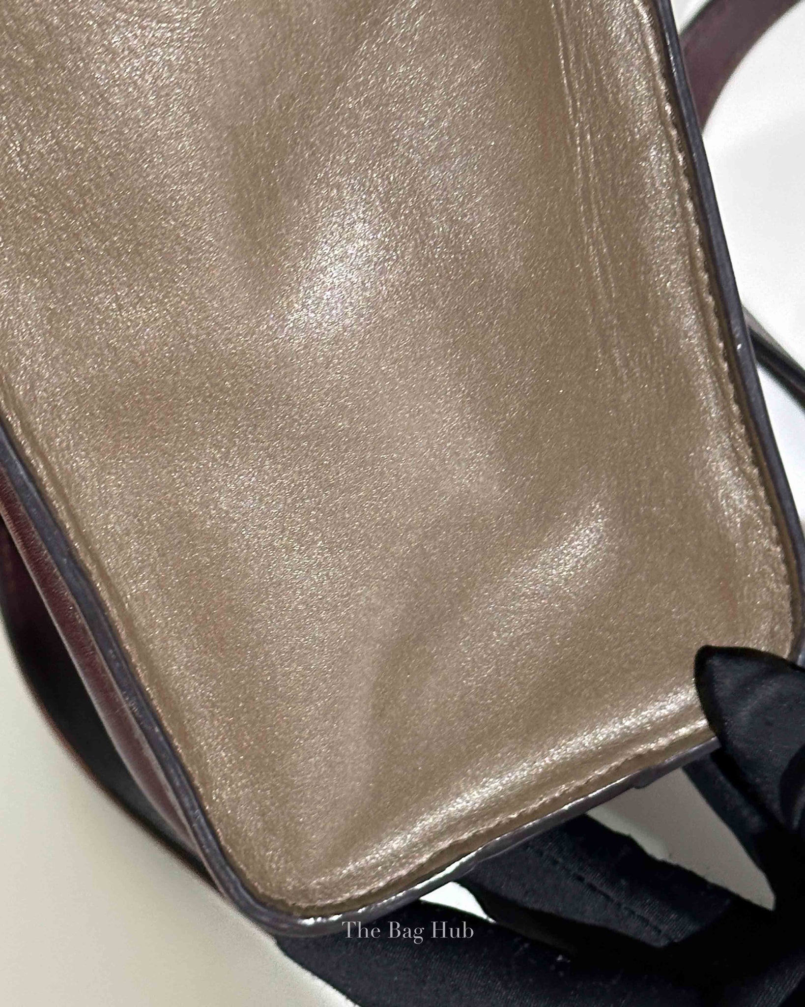 Celine Tricolor Leather Nano Luggage Tote Bag