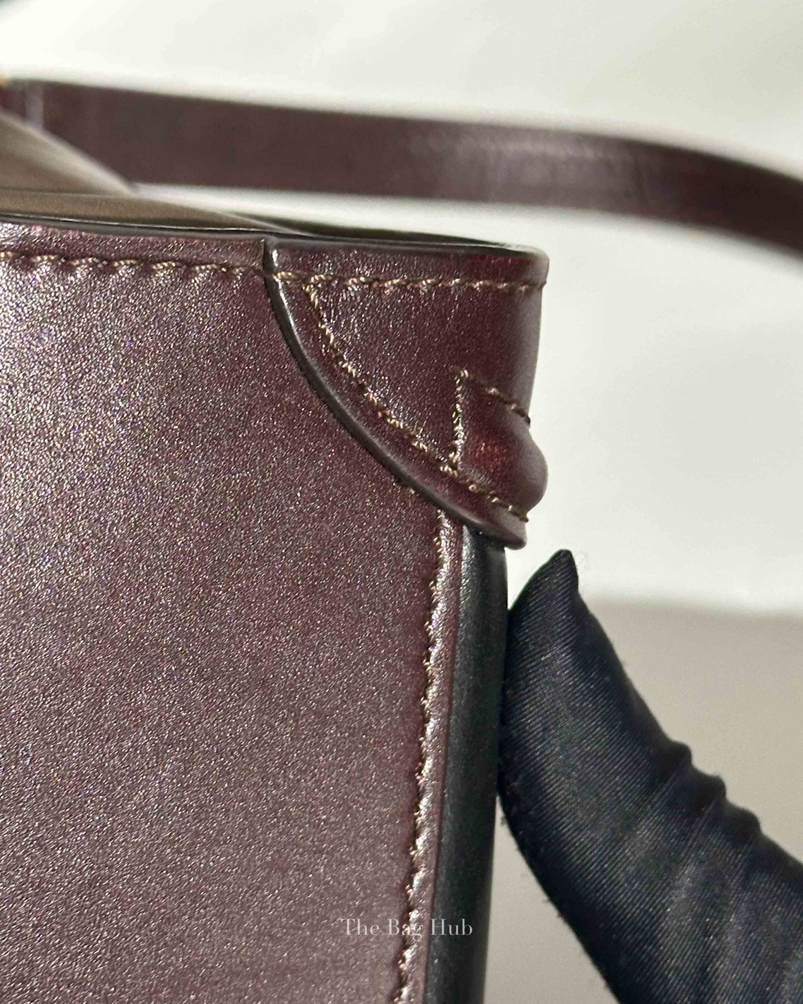 Celine Tricolor Leather Nano Luggage Tote Bag