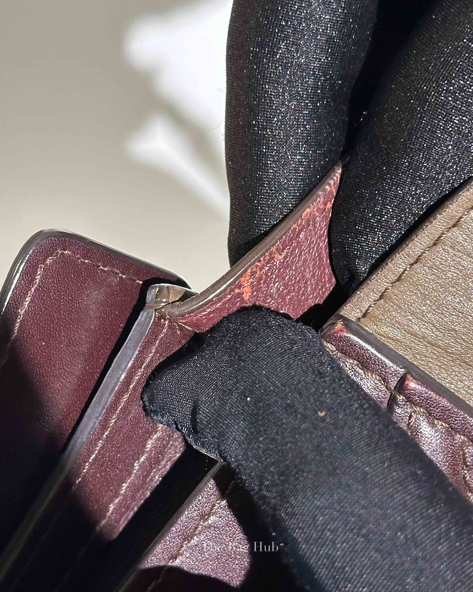 Celine Tricolor Leather Nano Luggage Tote Bag