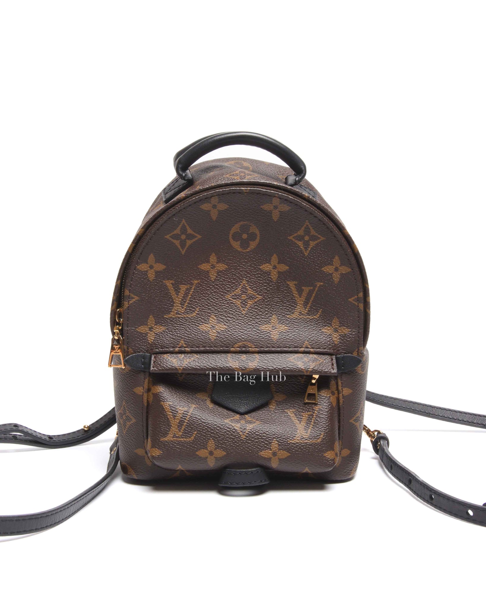 Louis Vuitton Monogram Canvas Palm Springs Mini Backpack