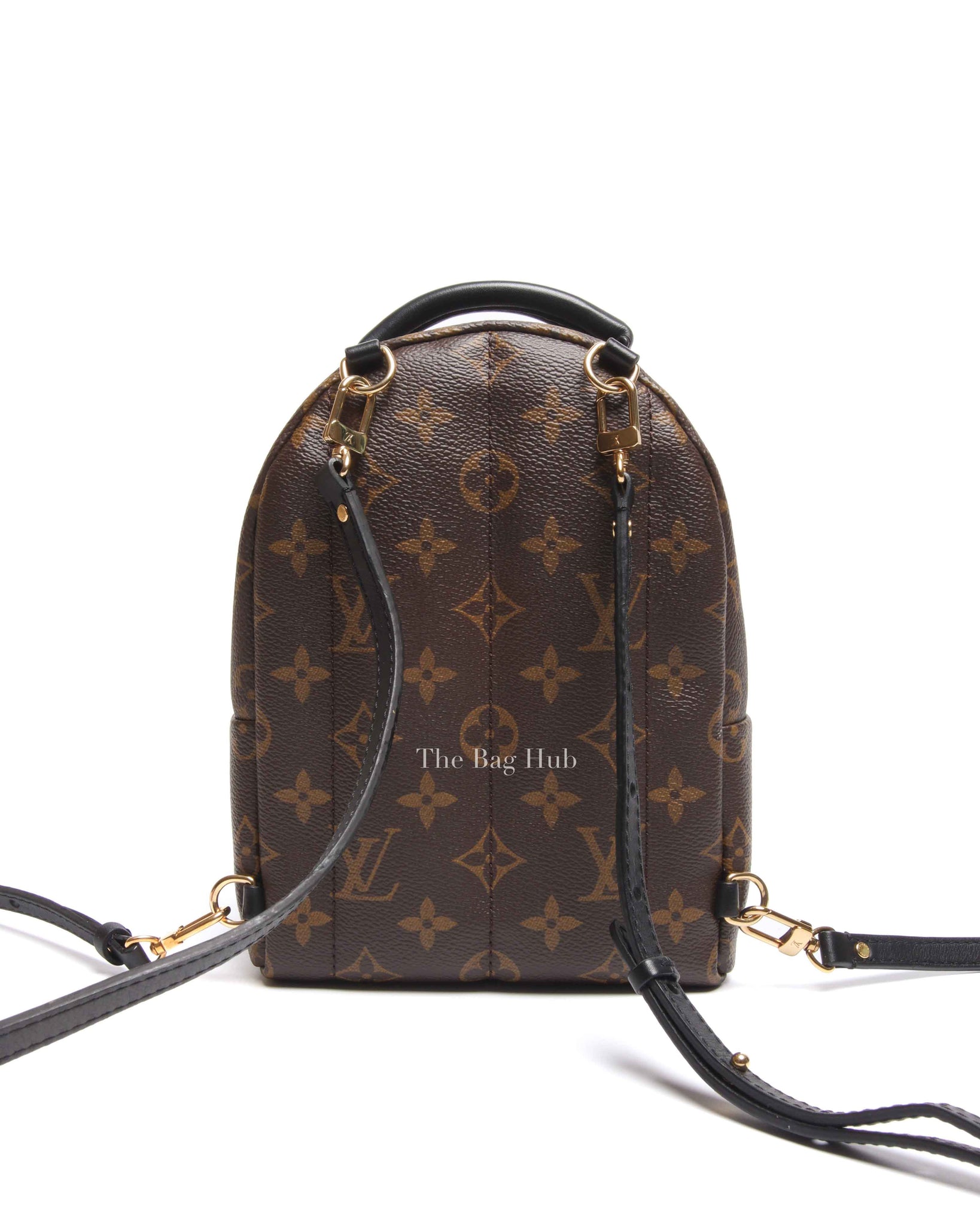 Louis Vuitton Monogram Canvas Palm Springs Mini Backpack