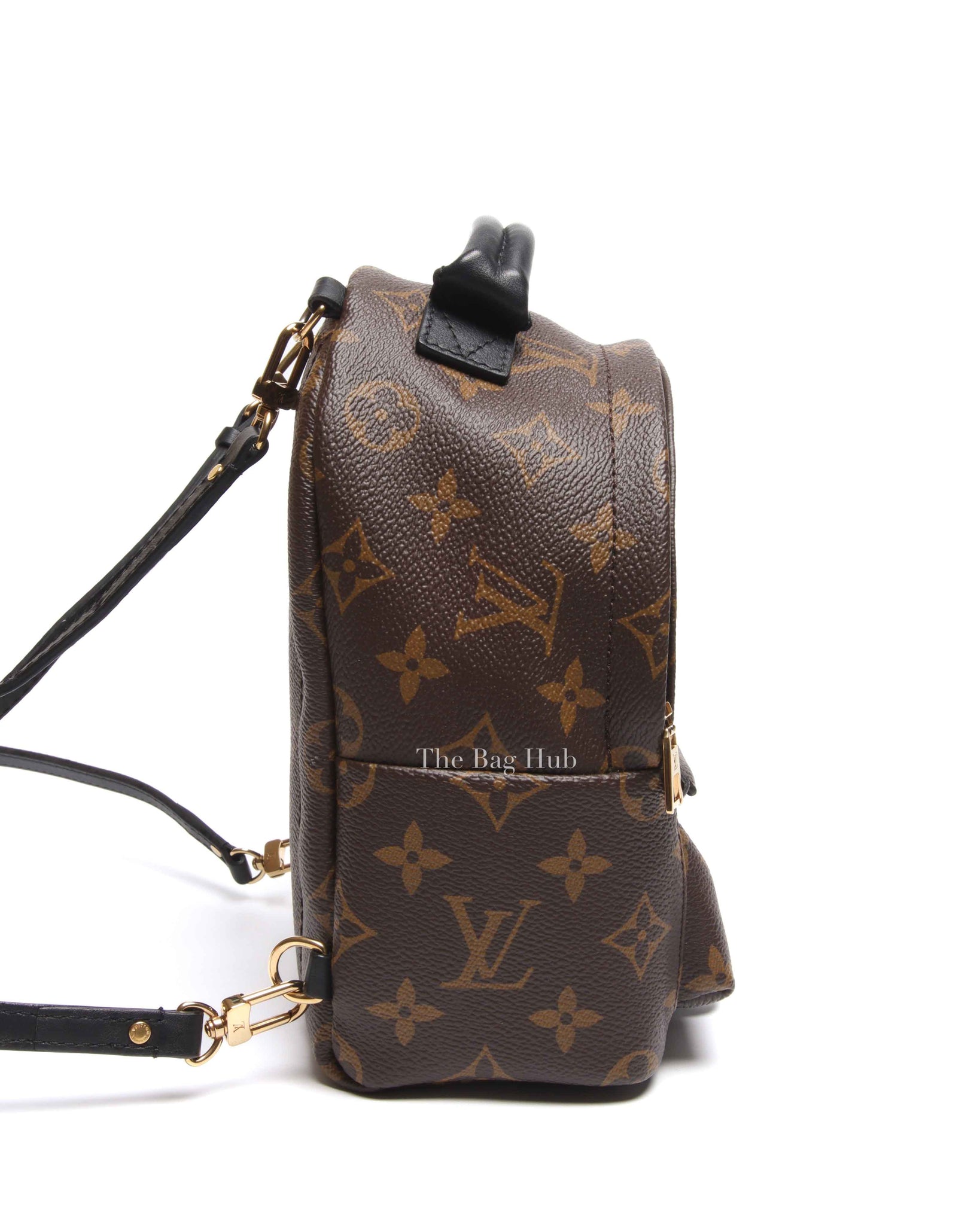 Louis Vuitton Monogram Canvas Palm Springs Mini Backpack