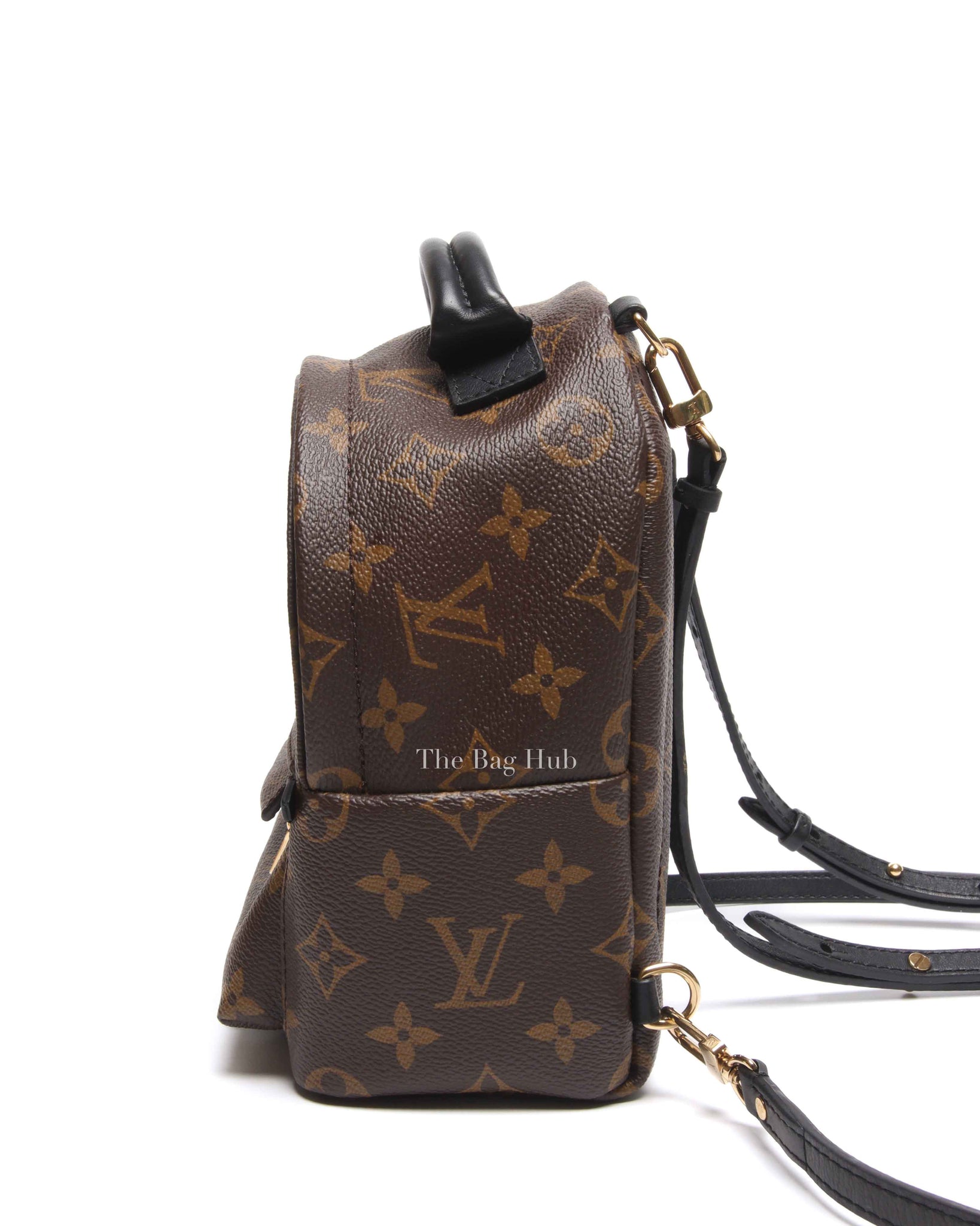 Louis Vuitton Monogram Canvas Palm Springs Mini Backpack