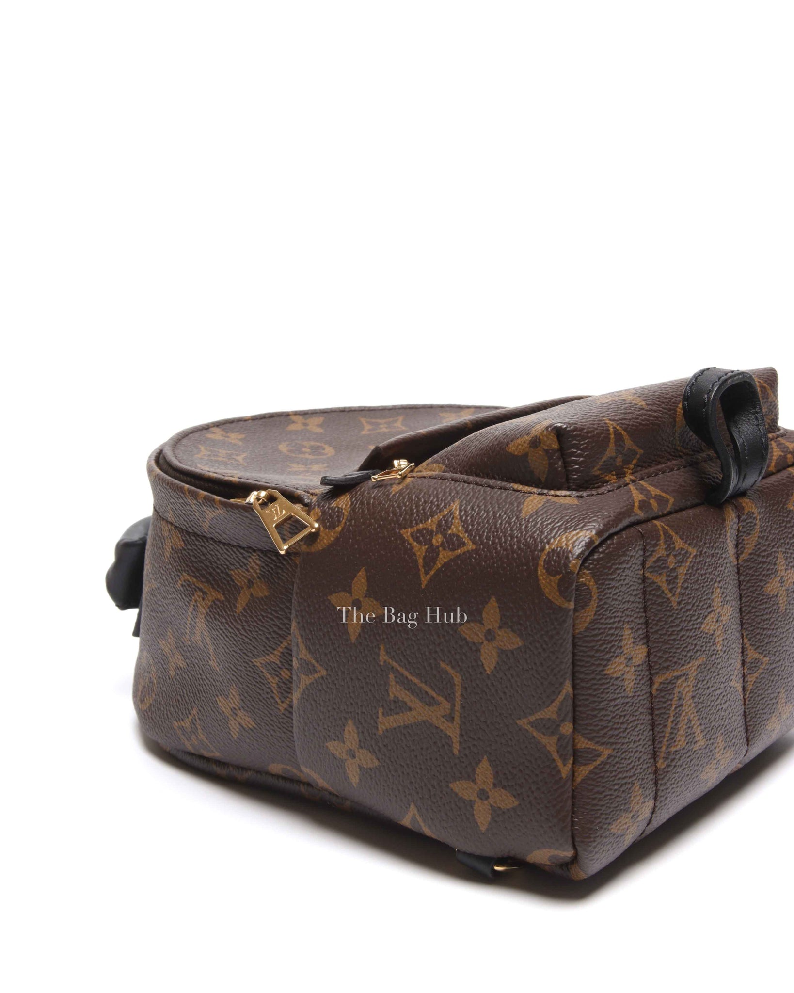 Louis Vuitton Monogram Canvas Palm Springs Mini Backpack