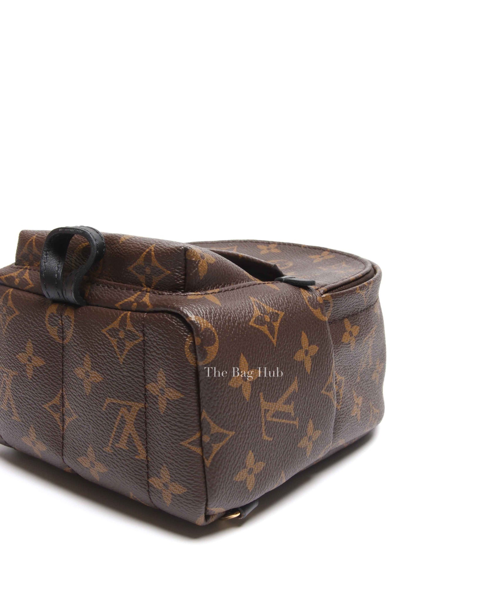 Louis Vuitton Monogram Canvas Palm Springs Mini Backpack