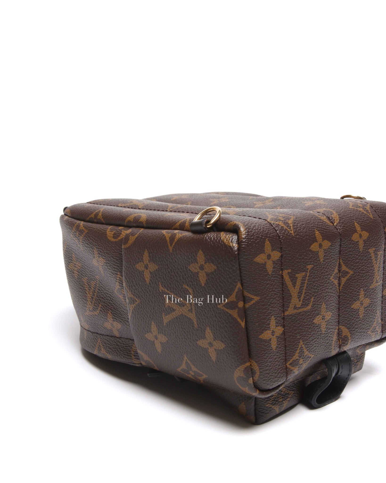 Louis Vuitton Monogram Canvas Palm Springs Mini Backpack