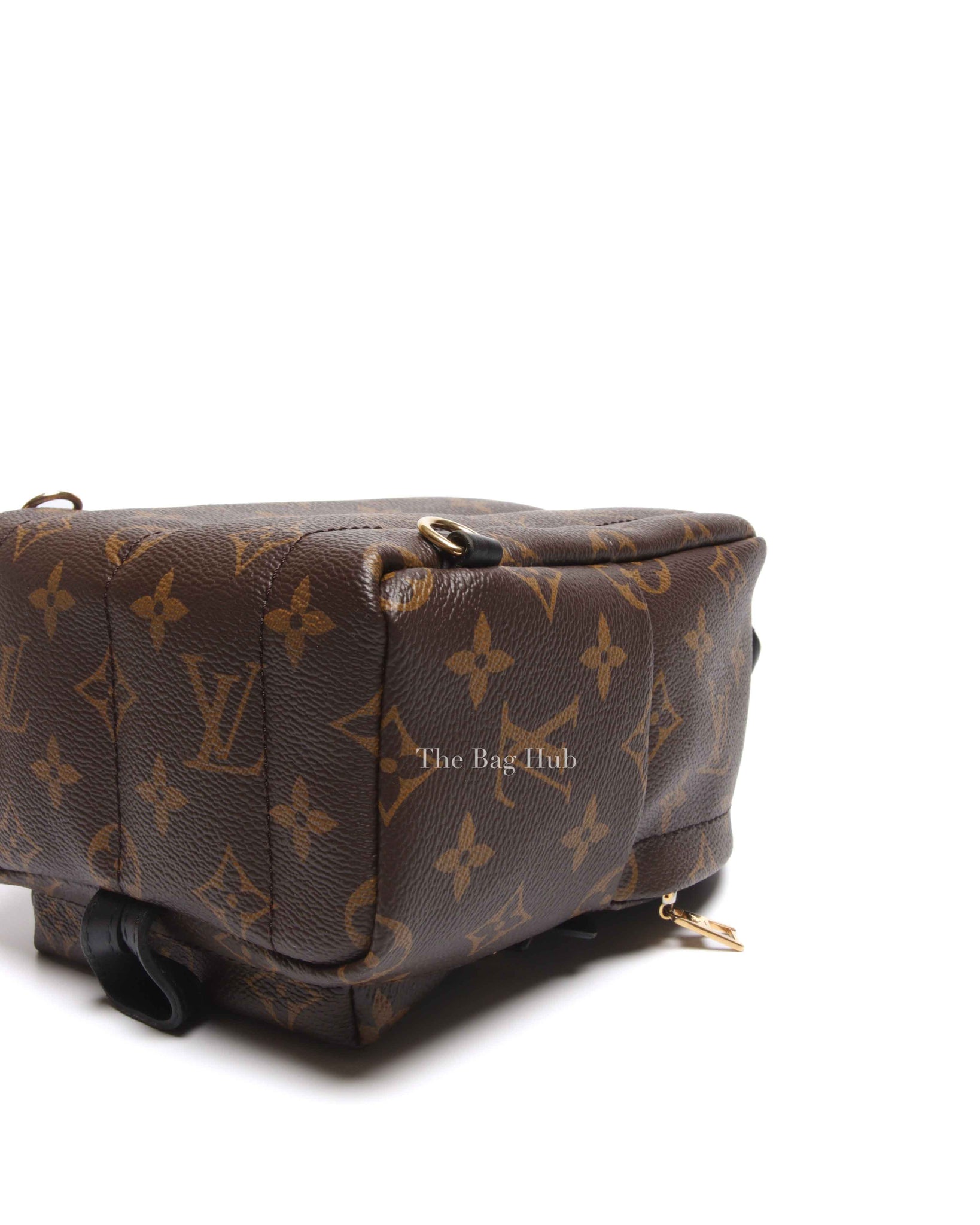 Louis Vuitton Monogram Canvas Palm Springs Mini Backpack