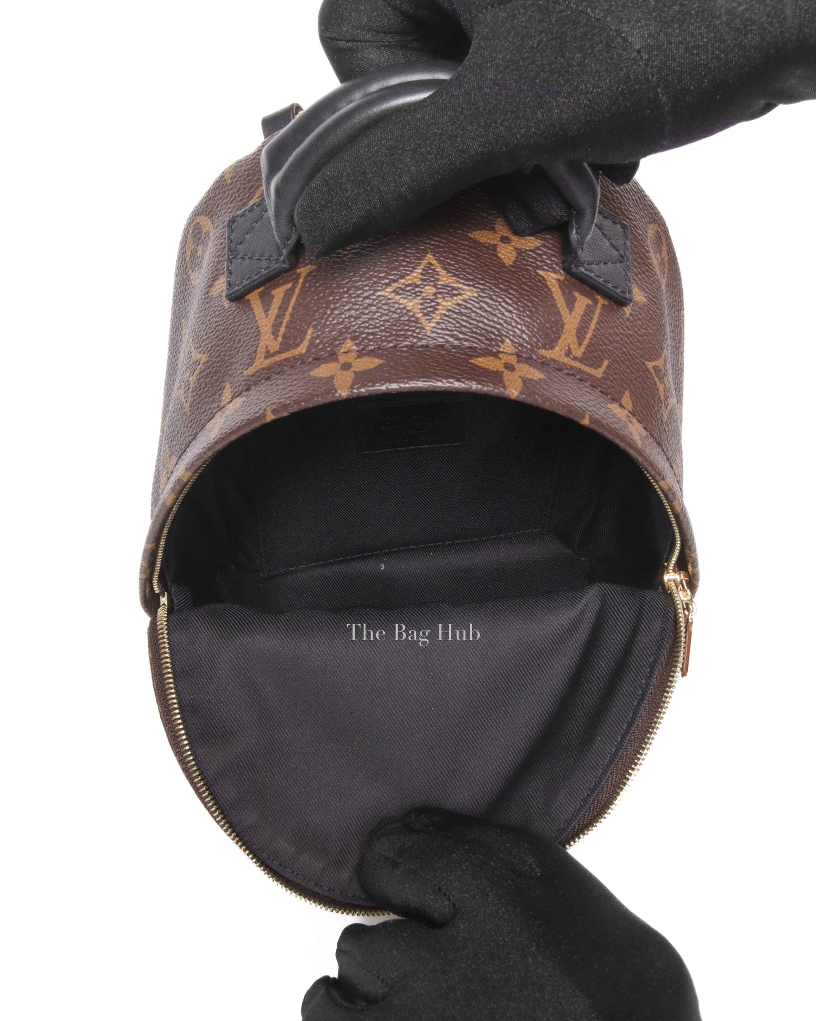 Louis Vuitton Monogram Canvas Palm Springs Mini Backpack