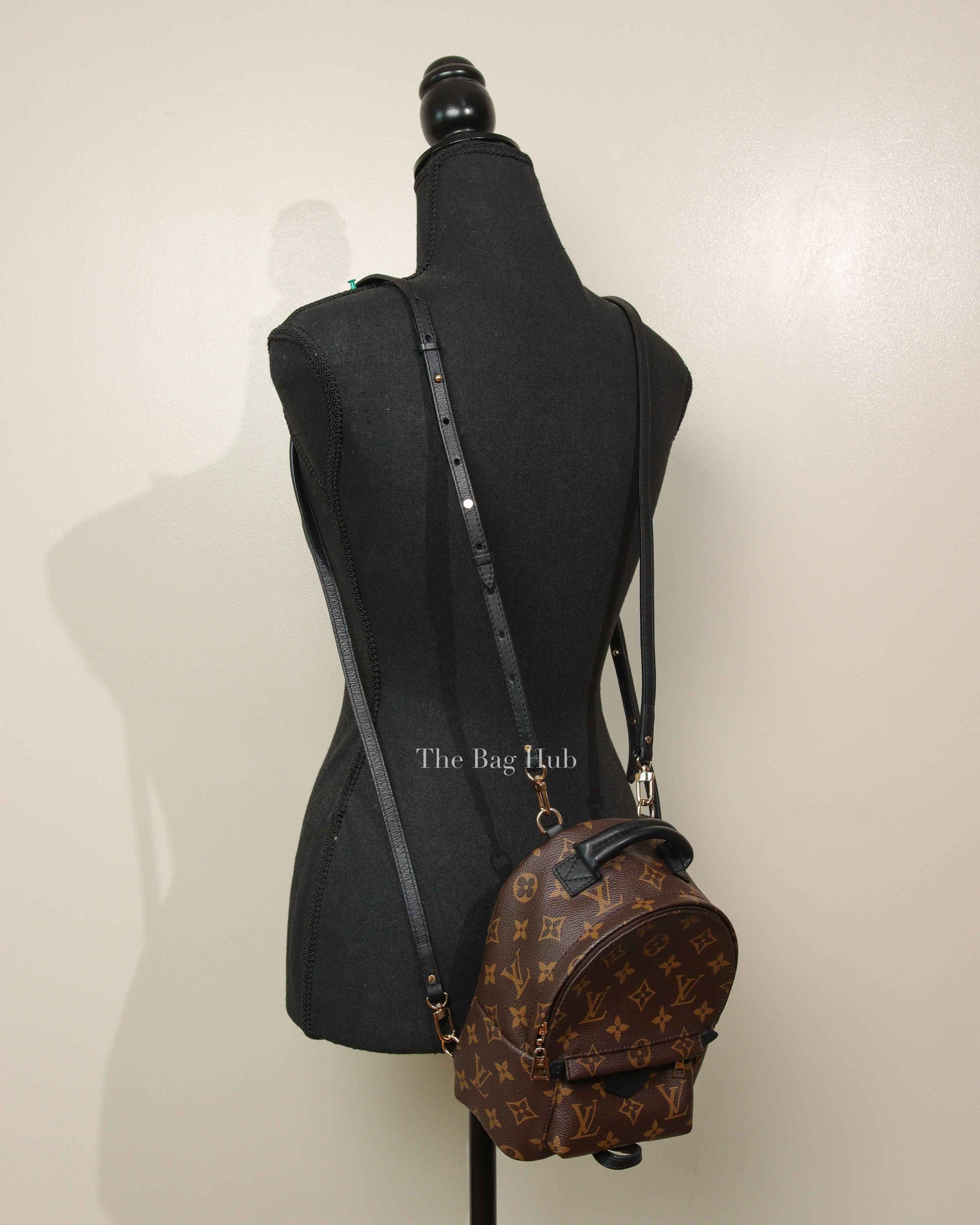 Louis Vuitton Monogram Canvas Palm Springs Mini Backpack