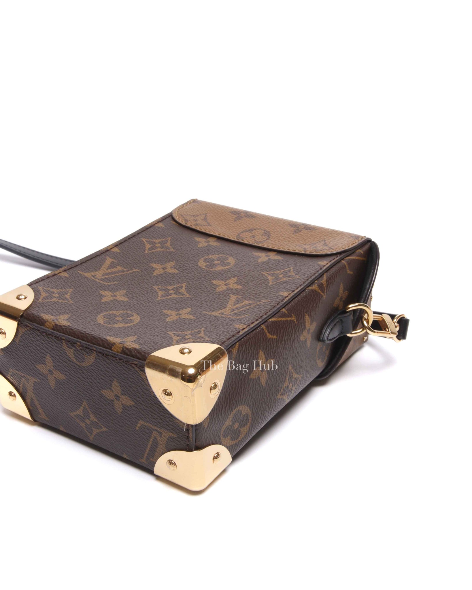 Louis Vuitton Brown Reverse Monogram Canvas Camera Box Bag