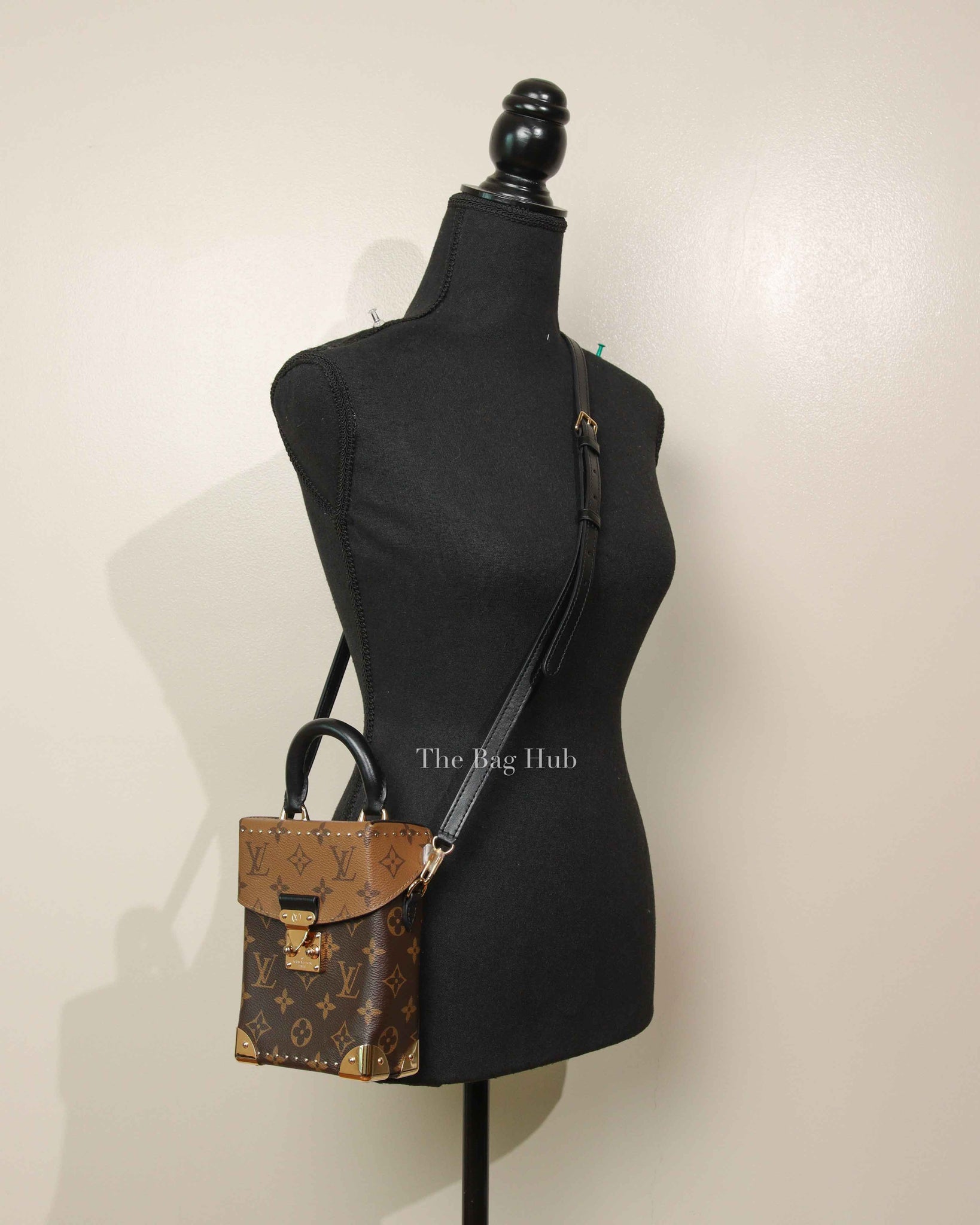 Louis Vuitton Brown Reverse Monogram Canvas Camera Box Bag