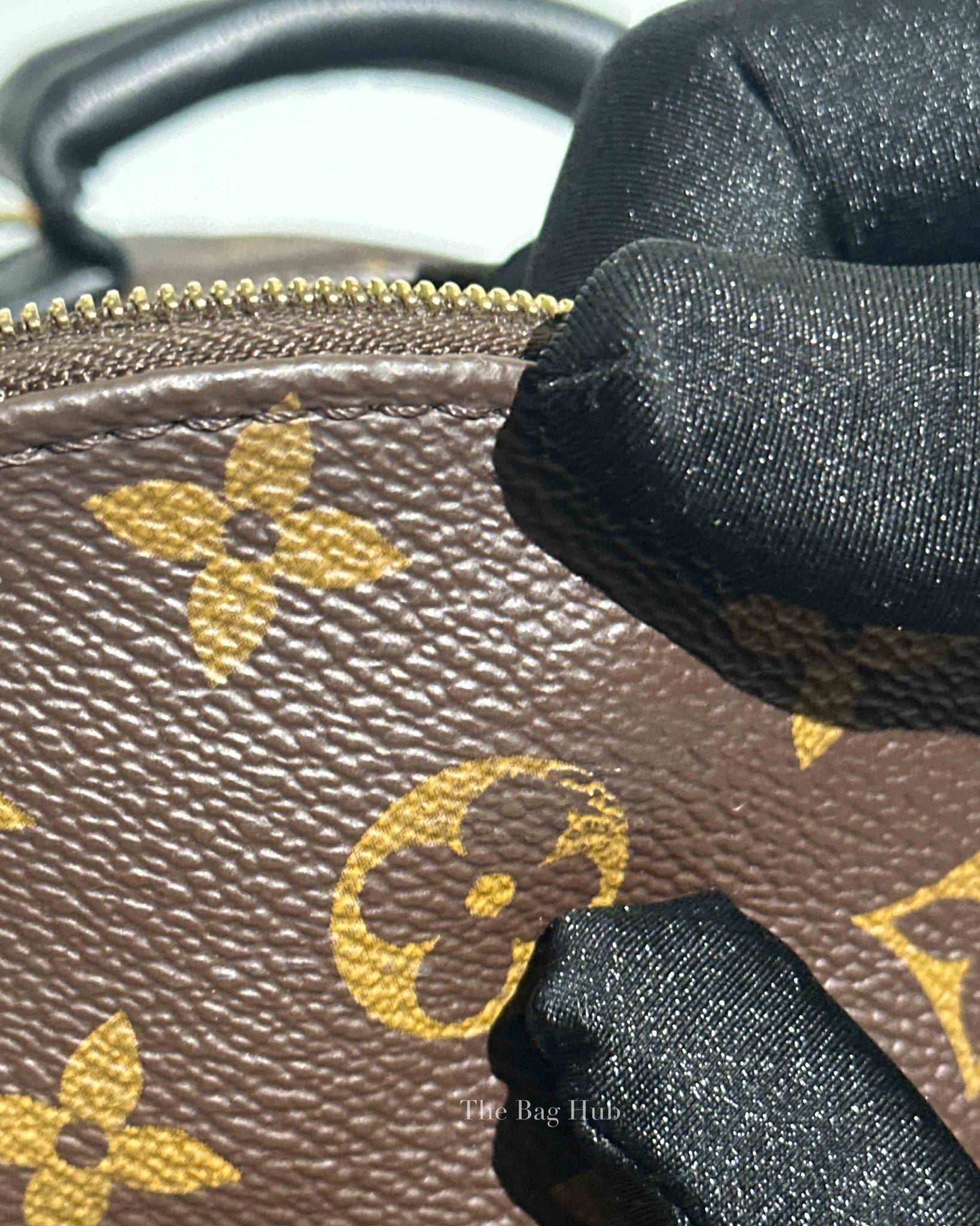 Louis Vuitton Monogram Canvas Palm Springs Mini Backpack