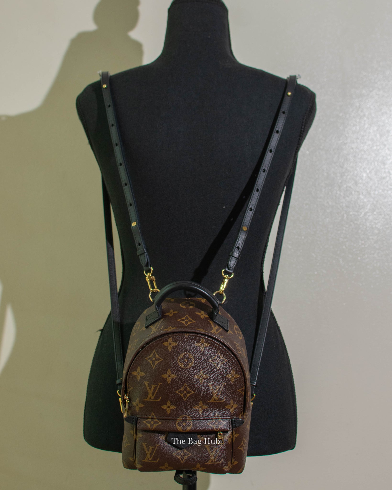 Louis Vuitton Black/Monogram Mini Palm Springs Backpack