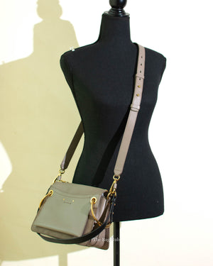 Chloe Motty Grey Small Roy Shoulder Bag
