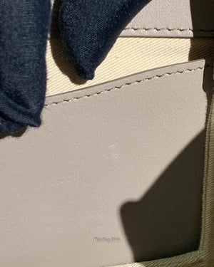 Chloe Motty Grey Small Roy Shoulder Bag