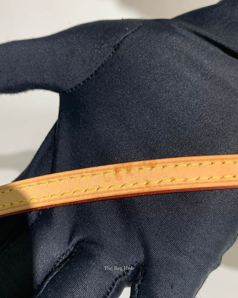 Louis Vuitton Monogram Nano Speedy Crossbody Bag