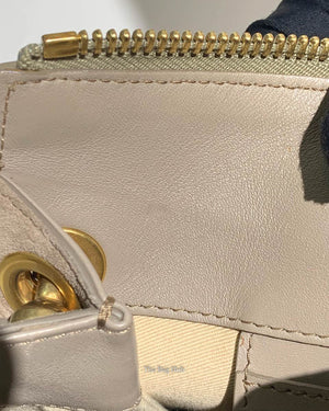 Chloe Motty Grey Small Roy Shoulder Bag