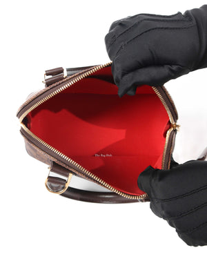 Louis Vuitton Damier Ebene Alma BB Bag