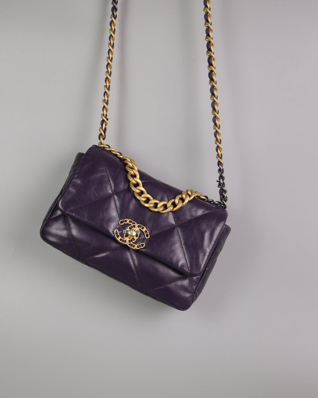 Chanel Raisin C19 Handbag