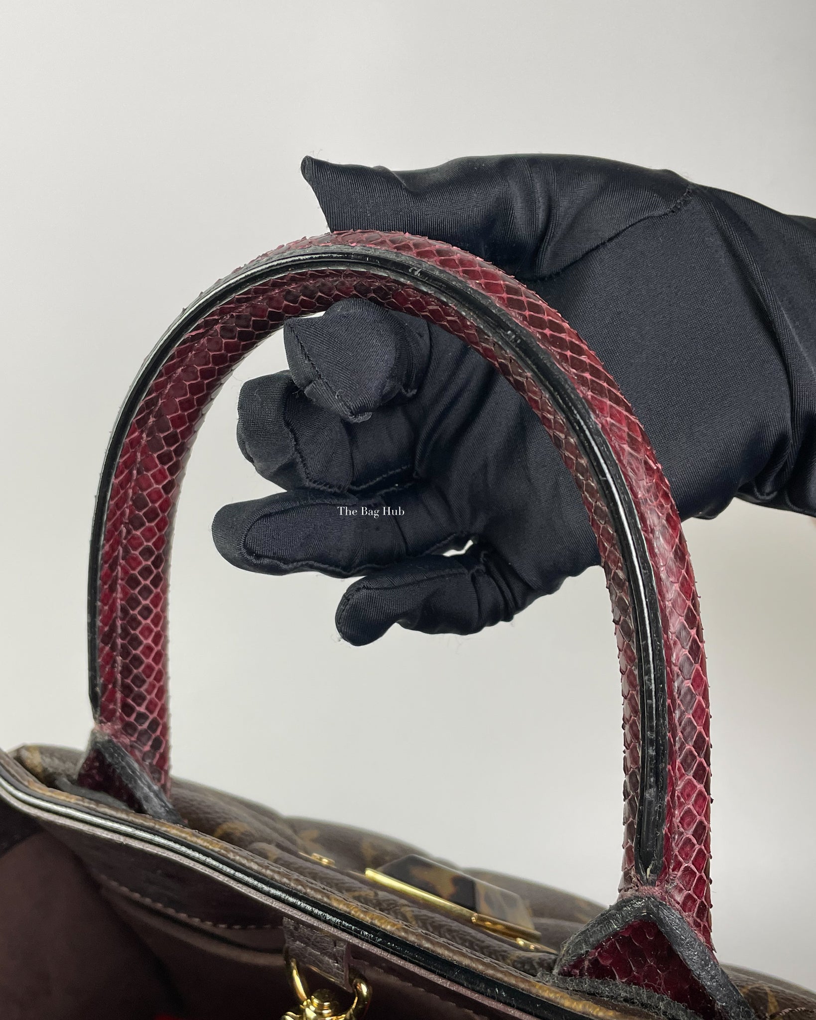 Louis Vuitton Monogram Limited Edition Etoile Exotique Bag MM-14