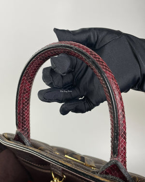 Louis Vuitton Monogram Limited Edition Etoile Exotique Bag MM-14