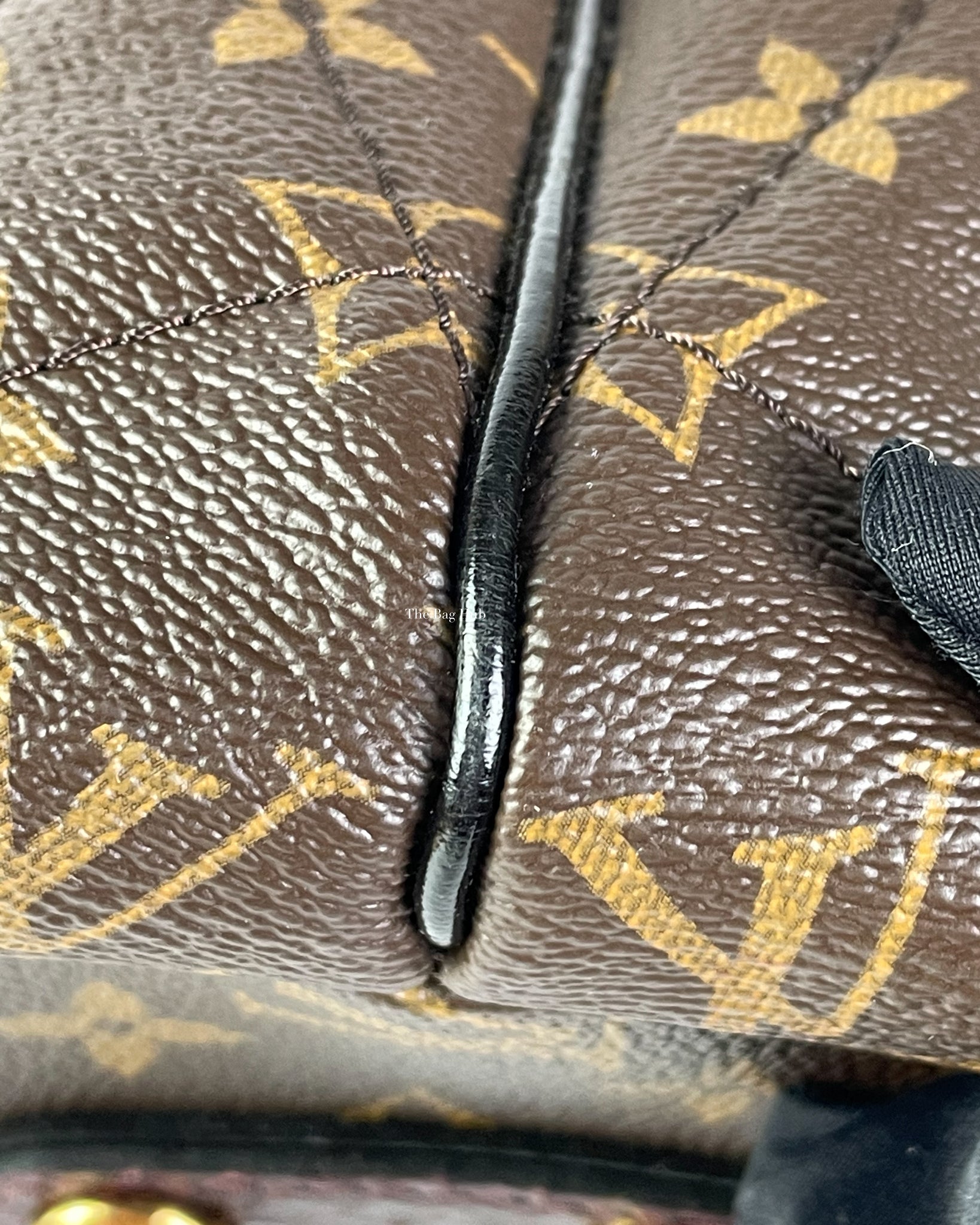 Louis Vuitton Monogram Canvas Etoile Exotique MM