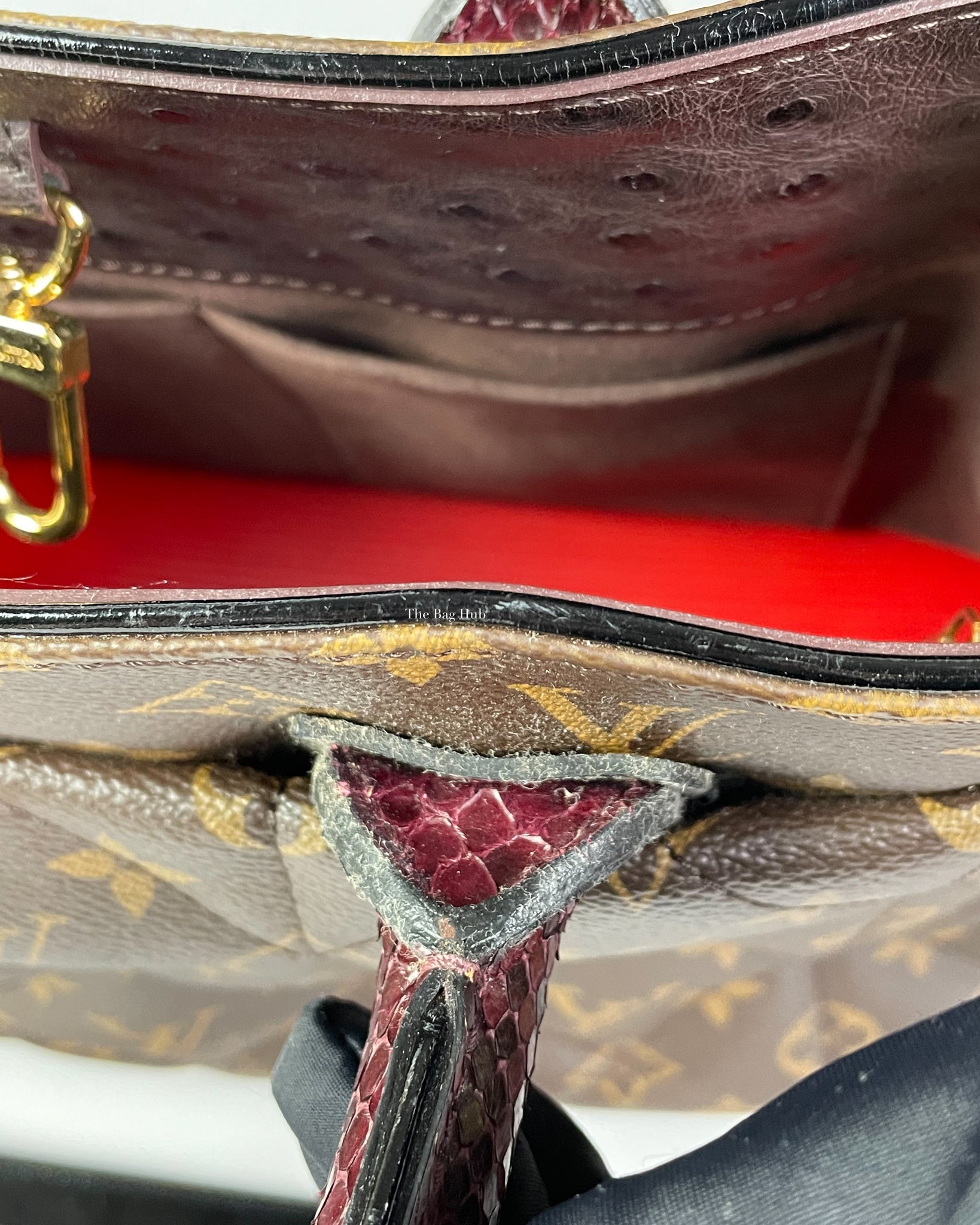 LOUIS VUITTON - a Monogram Etoile Exotique handbag