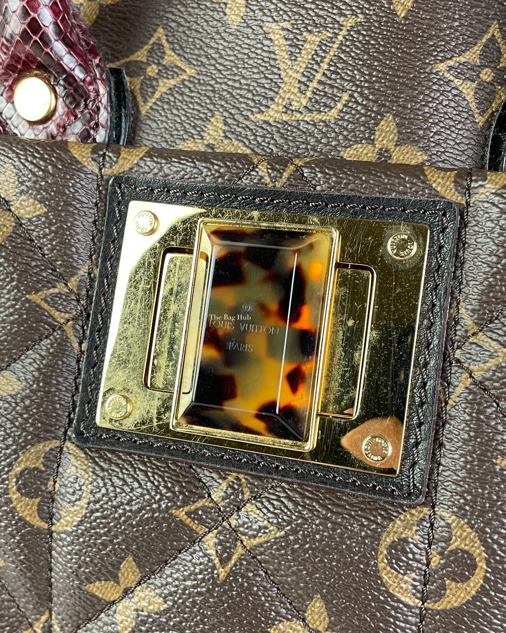 Louis Vuitton Monogram Limited Edition Etoile Exotique Bag MM-23