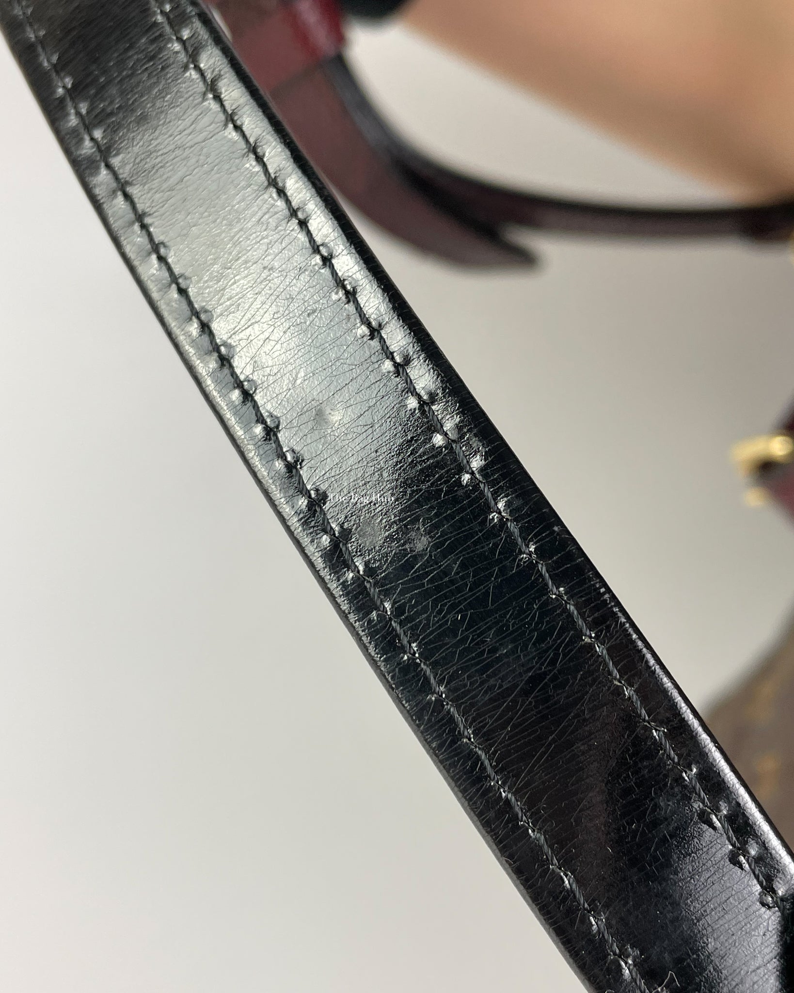 Louis Vuitton Monogram Limited Edition Etoile Exotique Bag MM-24